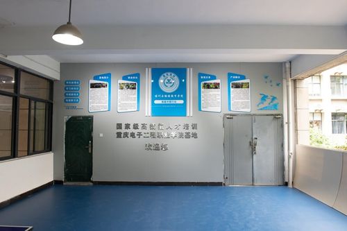 职社融合双向奔赴 重庆电子工程职业学院以信息技术咨询服务破解社会服务难题