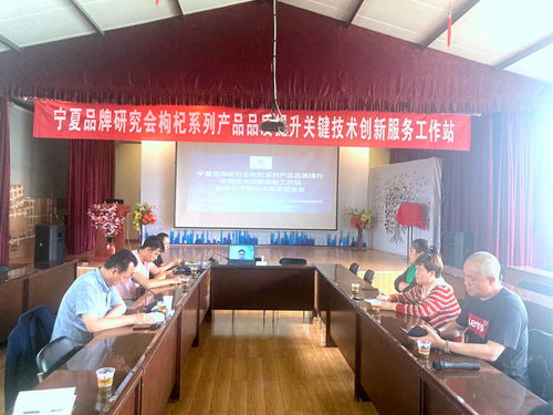 宁夏枸杞产业迎来技术革新 品牌研究会品质提升创新服务工作站挂牌，信息技术赋能产业升级