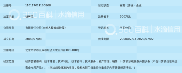 信息技术咨询服务 北京京联信德信息咨询的核心优势与价值